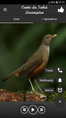 Canto da Sabiá Laranjeira android App screenshot 0